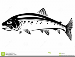 Free Trout Clipart Black And White | Free Images at Clker ...