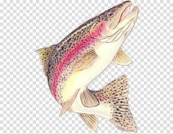 fish fish brown trout trout clipart - Fish, Brown Trout ...