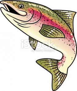 cartoon rainbow trout | cute | Art, Fish art, Rainbow trout ...