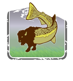 BuffaloTrout Golden Ale | Lolo Peak Brewing Company