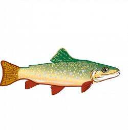 Rainbow trout Clip art - Hand-painted small fish png ...