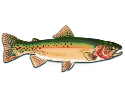 Free Trout Clipart, Download Free Clip Art on Owips.com