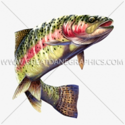 Rainbow Trout Clipart , Png Download - Shark #1317467 - Free ...