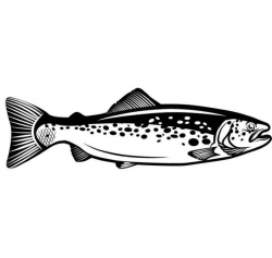 Trout Fish #1 Fly Fisherman Fishing Fisherman Tournament River Lures Logo  .SVG .EPS .PNG Clipart Vector Cricut Cut Cutting Download File