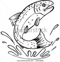 Rainbow Trout Pictures Free | Trout Line Art Stock Photo ...