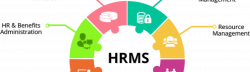 Hr Software: Hr Software Categories