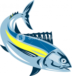 Tuna Fish Clipart | Free download best Tuna Fish Clipart on ...