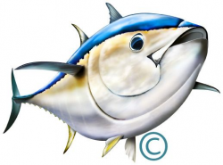 Bluefin Tuna Illustration Photoshop clipart http://www ...