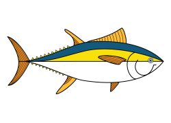Yellowfin Pools