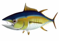 Tuna Clipart Canned Tuna Free collection | Download and share Tuna ...
