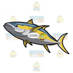 A Yellowfin Tuna