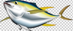 Bigeye Tuna Albacore Pacific Bluefin Tuna Yellowfin Tuna ...