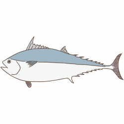 kawakawa/mackerel tuna | Free Illust Net