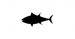 Tuna Fish Silhouette by australianmate