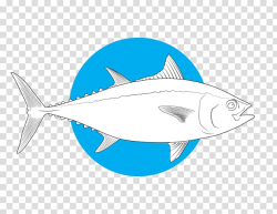 Shark Bony fishes Marine biology Salt Water Sportsman, tuna ...