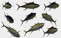 Fish 3D computer graphics, tuna transparent background PNG ...