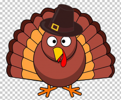 Thanksgiving Turkeys Turkey Meat PNG, Clipart, Beak, Bird ...