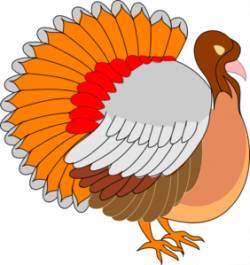 Turkey Side View Clip Art at Clker.com - vector clip art ...