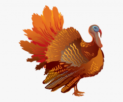 Turkey Clipart Transparent Background - Thanksgiving Turkey ...