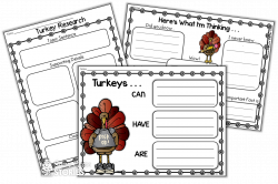 Let's Talk Turkey - Nonfiction Turkey Fun! - Second Grade Stories