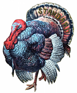 turkey | Craft Thanksgiving | Pinterest | Thanksgiving and Vintage ...