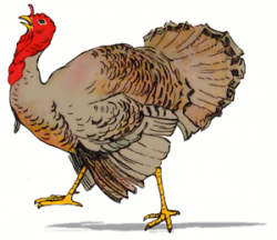 Free Thanksgiving Images 6 - Turkeys 1 - Free Clipart ...