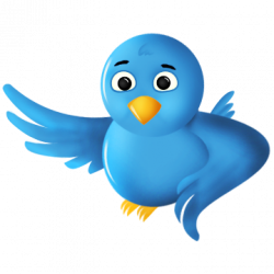 Twitter Bird Png Transparent - peoplepng.com