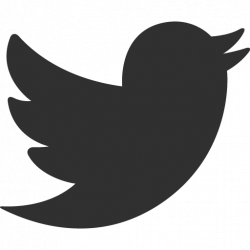 twitter bird png image | Royalty free stock PNG images for your design