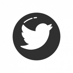 twitter logo Icon - Page 2