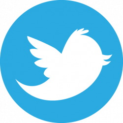 Circle Twitter Icon transparent PNG - StickPNG
