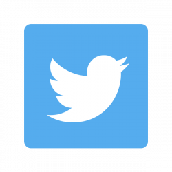 Twitter Subtly Introduces “I Don't Like This Tweet” Option -Optimize ...