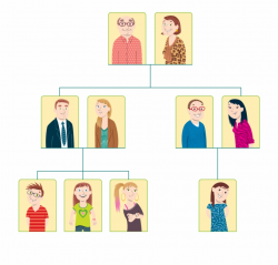 Schema - Uncle Family Tree Png Free PNG Images & Clipart ...