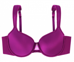 Purple Bra transparent PNG - StickPNG