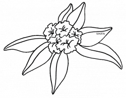 United States Clip Art by Phillip Martin, State Flower - Rhododendron