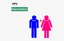 Hpv Vaccination - Foundations Of Mathematics 10, Cliparts ...