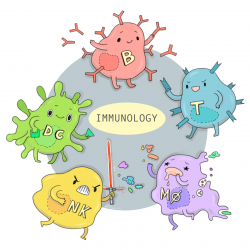 Immune System | The Dish on Science