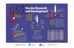 Vaccine experts recommend practical actions to support vaccine ...