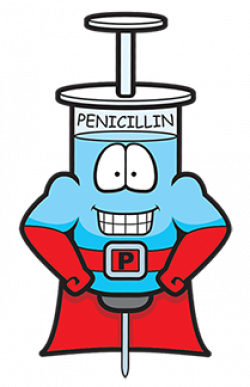 Penicillin Allergy – Allergy and Asthma Source