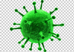 Herpes Simplex Virus Vaccine PNG, Clipart, Adenoassociated ...