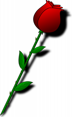 clipartist.net » Clip Art » rose flower flora valentine SVG