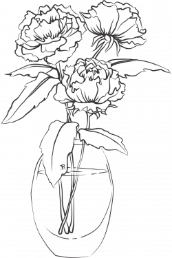 Carnation Flower Drawing at GetDrawings.com | Free for personal use ...