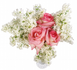 Vase with Roses and White Lilac Transparent Picture | Gallery ...