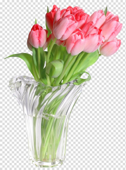 Pink tulip flowers in clear glass vase illustration, Vase ...