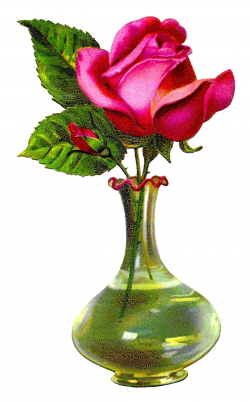 Antique Images: Pink Rose Flower Glass Vase Shabby Chic ...