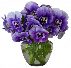 Violets Vase Bouquet Clipart | Gallery Yopriceville - High-Quality ...