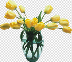 Yellow tulip flowers in vase, Flower Tulip , Glass Vase with ...