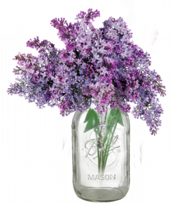 Common lilac Lavender Vase Clip art - lilac 583*700 transprent Png ...