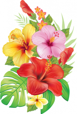 Тропические | гибискус | Pinterest | Flowers, Moana and Clip art