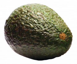 Avocado PNG Image - PurePNG | Free transparent CC0 PNG Image Library