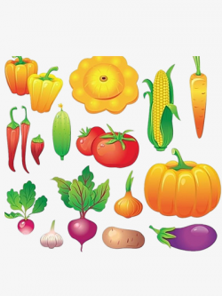 Colored Vegetables, Vegetables Clipart, Pumpkin, Tomato PNG ...